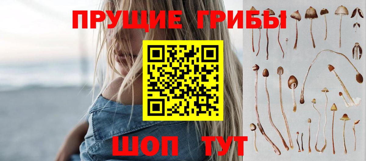 Галлюциногенные грибы прущие грибы Сарапул